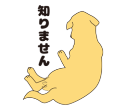 be-cyan sticker #3512578