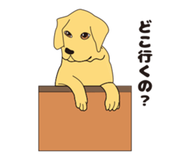 be-cyan sticker #3512591