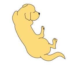 be-cyan sticker #3512595