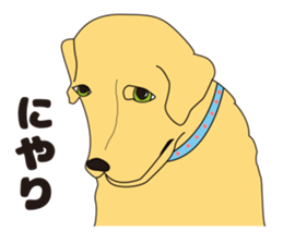 be-cyan sticker #3512609