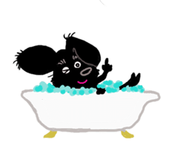 Black Miniature Schnauzer COCO sticker #3513825