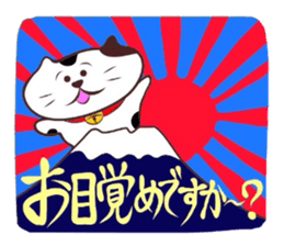 Flatter! tortoiseshell cat!4 sticker #3515538