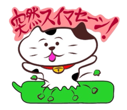 Flatter! tortoiseshell cat!4 sticker #3515539