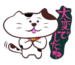 Flatter! tortoiseshell cat!4 sticker #3515546