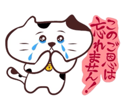 Flatter! tortoiseshell cat!4 sticker #3515554