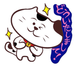 Flatter! tortoiseshell cat!4 sticker #3515556