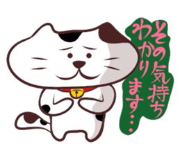 Flatter! tortoiseshell cat!4 sticker #3515566