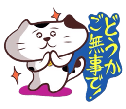 Flatter! tortoiseshell cat!4 sticker #3515575