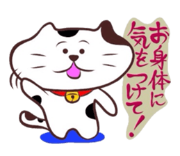 Flatter! tortoiseshell cat!4 sticker #3515576