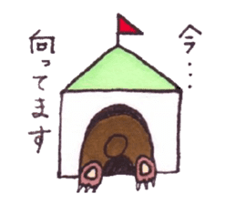 Mr.Sun bear sticker #3517863