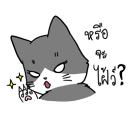 UP TO CAT sticker #3520141