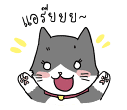 UP TO CAT sticker #3520149