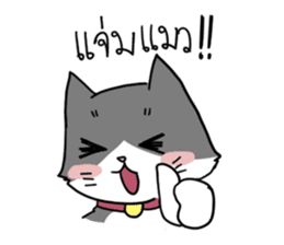 UP TO CAT sticker #3520150