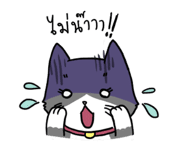 UP TO CAT sticker #3520160