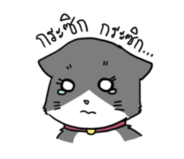 UP TO CAT sticker #3520172