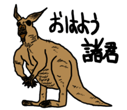 kangaroo's life sticker #3522298