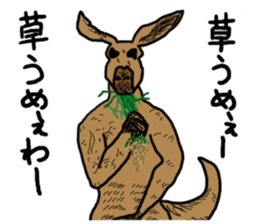 kangaroo's life sticker #3522300