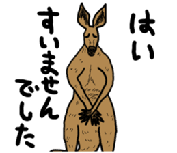 kangaroo's life sticker #3522304