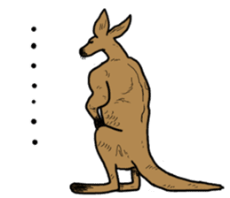 kangaroo's life sticker #3522319