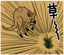 kangaroo's life sticker #3522324