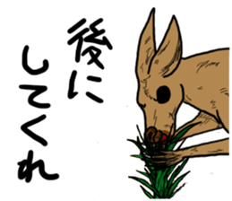 kangaroo's life sticker #3522325