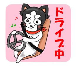 oinusama  -progressive form- sticker #3522387