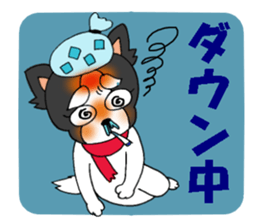 oinusama  -progressive form- sticker #3522396