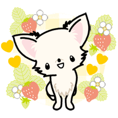 Kawaii Chihuahua 3 (English)