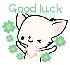 Kawaii Chihuahua 3 (English) sticker #3523302