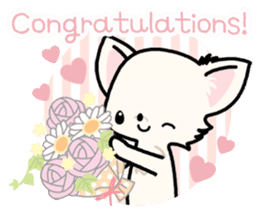 Kawaii Chihuahua 3 (English) sticker #3523309