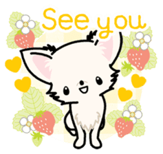 Kawaii Chihuahua 3 (English) sticker #3523313