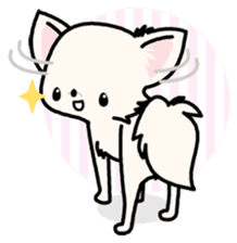 Kawaii Chihuahua 3 (English) sticker #3523318