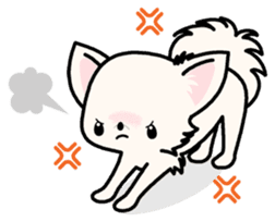 Kawaii Chihuahua 3 (English) sticker #3523322