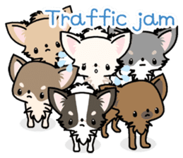 Kawaii Chihuahua 3 (English) sticker #3523329