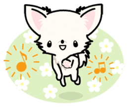 Kawaii Chihuahua 3 (English) sticker #3523330