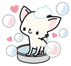 Kawaii Chihuahua 3 (English) sticker #3523331