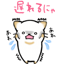 Couple de NyanNyan sticker #3524428