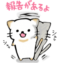 Couple de NyanNyan sticker #3524432