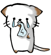 Couple de NyanNyan sticker #3524454