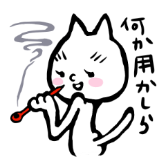 Bibimaru of a white cat