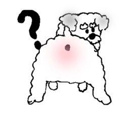 Miniature Schnauzer heaven vol.1 sticker #3524925