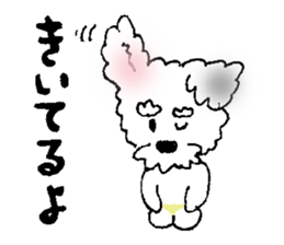 Miniature Schnauzer heaven vol.1 sticker #3524930