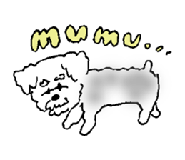 Miniature Schnauzer heaven vol.1 sticker #3524935