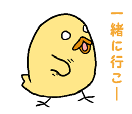 a chick sticker (name is piyosi) sticker #3525696