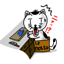 Cat and box2 sticker #3527218