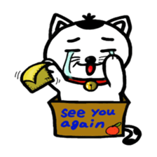 Cat and box2 sticker #3527232