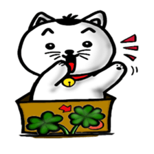 Cat and box2 sticker #3527253