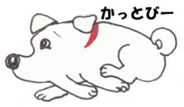 Innocent of cat and dog sticker #3529596