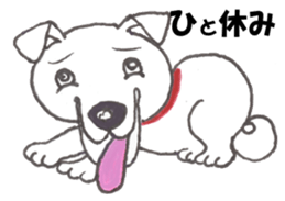 Innocent of cat and dog sticker #3529600