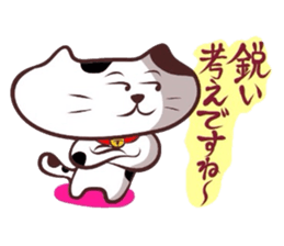 Flatter! tortoiseshell cat! 3 sticker #3531076